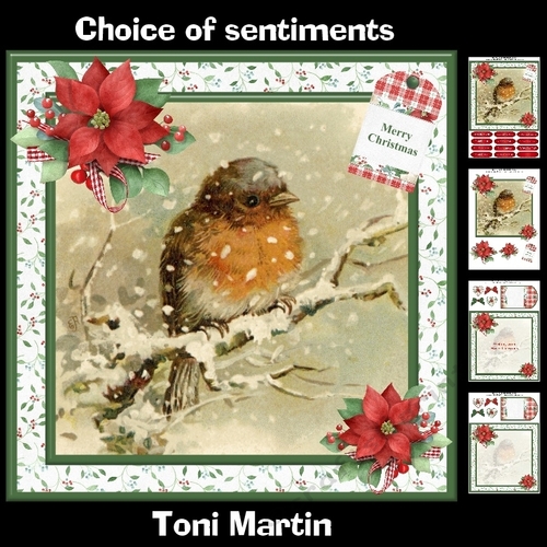 Christmas Robin Card Mini Kit & Decoupage