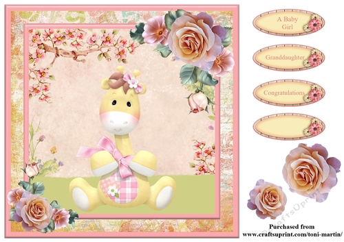 New Baby Girl Card Topper & Decoupage