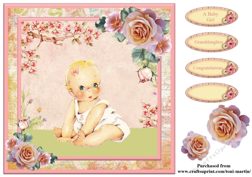 New Baby Girl Card Topper & Decoupage