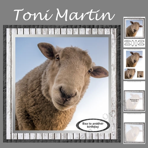 Baa to another birthday mini kit 