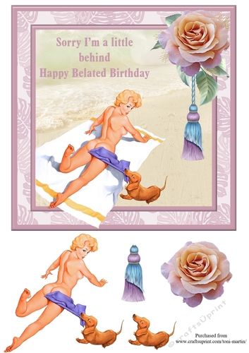 Sorry Im a little behind - Happy Belated Birthday - Humorous Birthday Card Topper & Decoupage