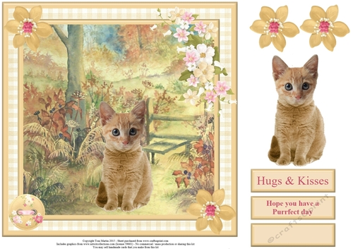 Hope You Have a Purrfect Day Card Topper & Decoupage