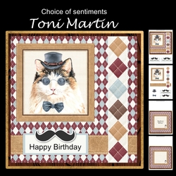 Hipster cat mini kit & decoupage