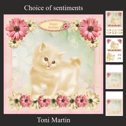 Sweet Kitten Decoupage Mini Kit