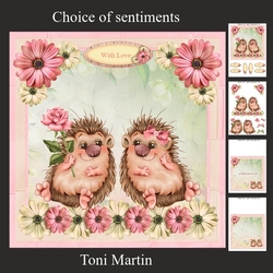 Hedgehog Love Decoupage Mini Kit