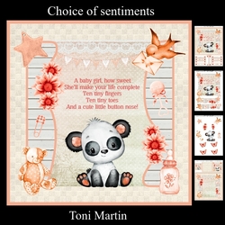 Panda - New Baby Girl Card Mini Kit & Decoupage
