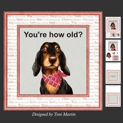 How old? Decoupage Card Mini Kit 7x7