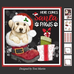 Santa Paws Decoupage Card Mini Kit 7x7 - Labrador