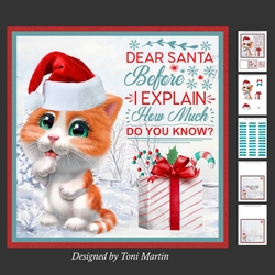 Dear Santa Decoupage Card Mini Kit 7x7 - Kitty