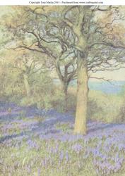 Tree & Purple Flowers Background