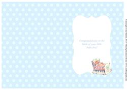 New Baby Boy Insert
