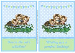 Cute Kittens in the Flowers Toppers