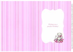 Wishing You a Purrfect Birthday Insert