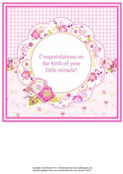New Baby Girl Mini Kit Insert