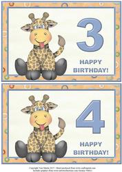 Giraffe Birthday Toppers Age 3 & 4