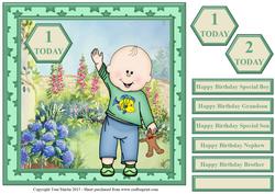 Toddler Boy Birthday Topper & Sentiments
