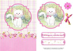 Cute White Kitten Card Topper & Decoupage