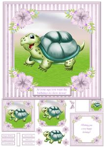 At Your Age You Want the Birthdays to Slow Down! - Tortoise
