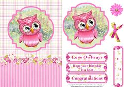 Cute Owl Card Topper & Decoupage