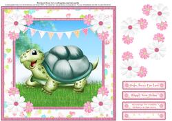 Sweet Tortoise New Home / Belated Birthday Card