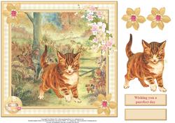 Exploring Kitten Card Topper & Decoupage