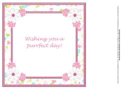 Pink Daisy Purrfect Day Insert