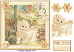 Elegant Kitten Card Topper & Decoupage