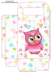 Pink Owl Gift Bag