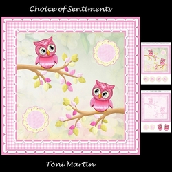 Sweet owls - hope your birthday is a hoot - card mini kit & decoupage