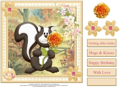 Getting older stinks - humorous skunk card topper & decoupage