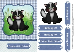 Getting older stinks - skunk card topper & decoupage - choice of ages