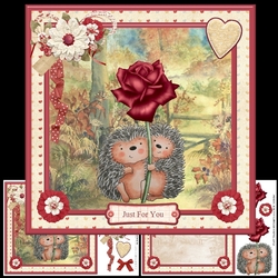 Sweet hedgehogs card mini kit & decoupage