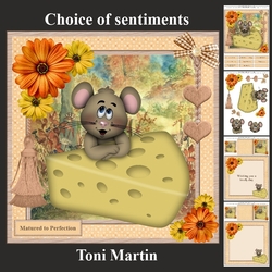 Matured to perfection card mini kit & decoupage