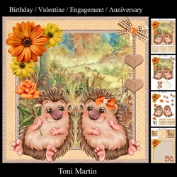 Hedgehog Love Mini Kit - Birthday / Valentine / Engagement / Anniversary