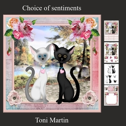 Cat Love Mini Kit & Decoupage
