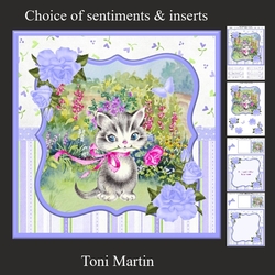 Hope youre feline better soon card mini kit & decoupage
