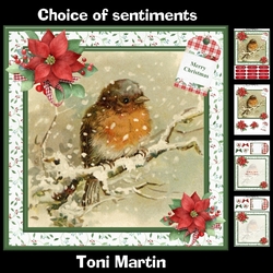 Christmas Robin Card Mini Kit & Decoupage