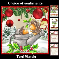 Sweet Hedgehogs Christmas Mini Kit & Decoupage