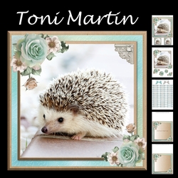 Cute hedgehog card mini kit & decoupage