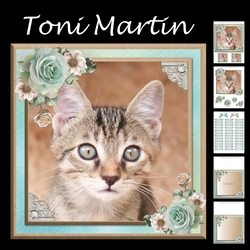 Cute kitten card mini kit & decoupage