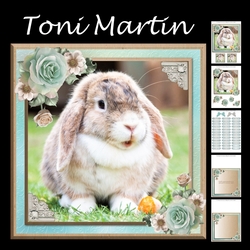 Cute bunny rabbit card mini kit & decoupage