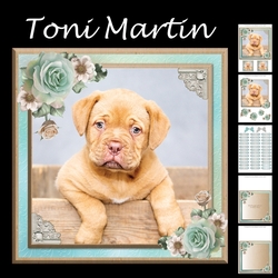 Cute puppy card mini kit & decoupage