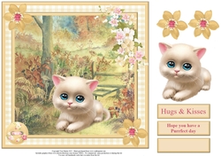 Hope You Have a Purrfect Day Card Topper & Decoupage