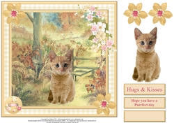 Hope You Have a Purrfect Day Card Topper & Decoupage