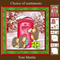 Christmas Hedgehogs Post Box Card Mini Kit & Decoupage