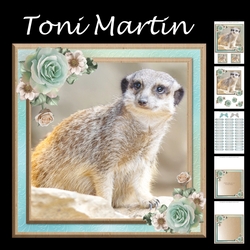 Cute meerkat card mini kit & decoupage
