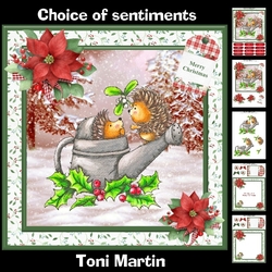 Mistletoe kisses hedgehogs christmas mini kit & decoupage