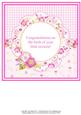 New Baby Girl Mini Kit Insert
