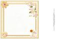Hope You Have a Beary Happy Birthday Card Insert
