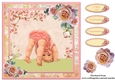 New Baby Girl Card Topper & Decoupage